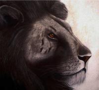 Lion-Edition-15-exemplaires Lion Thierry Bisch artiste peintre contemporain animaux tableau art  nature biodiversité conservation 