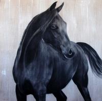 Pur Sang Andalou Andalusian-thoroughbred-horse Thierry Bisch Contemporary painter animals painting art  nature biodiversity conservation