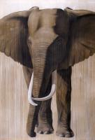 Timba élephant-elephant Thierry Bisch artiste peintre contemporain animaux tableau art  nature biodiversité conservation 