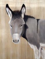 Ane-gris   Peinture animalière, art animalier, peintre tableau animal, cheval, ours, élephant, chien sur toile et décoration par Thierry Bisch 