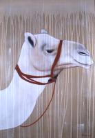 WHITE CAMEL chameau-dromadaire-blanc Thierry Bisch artiste peintre animaux tableau art  nature biodiversité conservation 