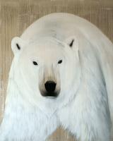 Ours polaire ours-polaire-blanc Thierry Bisch artiste peintre contemporain animaux tableau art  nature biodiversité conservation 