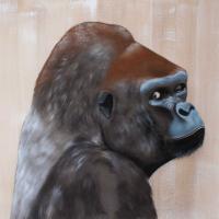 SILVERBACK gorille-dos-argenté Thierry Bisch artiste peintre animaux tableau art  nature biodiversité conservation 