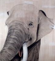 BATUNA élephant-elephant Thierry Bisch artiste peintre contemporain animaux tableau art  nature biodiversité conservation 