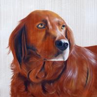 Eres Chien épagneul dog-spaniel-Irish-Setter-red-Setter-pet- Thierry Bisch Contemporary painter animals painting art  nature biodiversity conservation