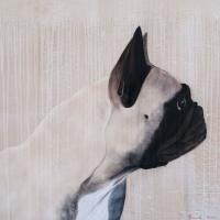 Felicia pug-dog-pet Thierry Bisch Contemporary painter animals painting art  nature biodiversity conservation