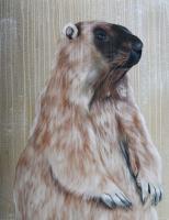 GROUNDHOG marmotte Thierry Bisch artiste peintre animaux tableau art  nature biodiversité conservation 