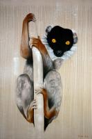 MADAGASCAR-LEMUR lémurien-de-madagascar-maqui Thierry Bisch artiste peintre contemporain animaux tableau art  nature biodiversité conservation 
