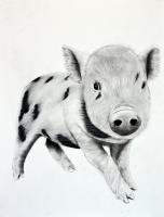 PIGGY-03 peinture-animalière Thierry Bisch artiste peintre animaux tableau art  nature biodiversité conservation 
