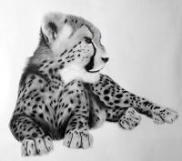 GUEPARDEAU cheetah-baby-acynonyx-jubatus Thierry Bisch Contemporary painter animals painting art  nature biodiversity conservation