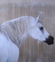 Pur-Sang-Arabe-02 cheval-Pur-sang-arabe Thierry Bisch artiste peintre animaux tableau art  nature biodiversité conservation 
