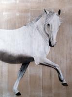 Darham arabian-thoroughbred-horse Thierry Bisch Contemporary painter animals painting art  nature biodiversity conservation