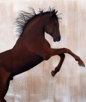 RAAD cheval-pur-sang Thierry Bisch artiste peintre animaux tableau art  nature biodiversité conservation 
