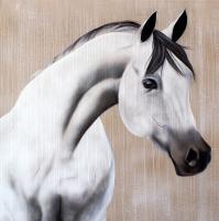 SAYAD cheval-pur-sang-arabe Thierry Bisch artiste peintre animaux tableau art  nature biodiversité conservation 