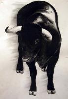 Chaco taureau Thierry Bisch artiste peintre contemporain animaux tableau art  nature biodiversité conservation 