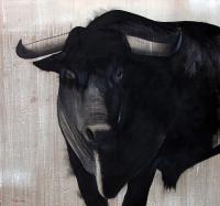 ISELITO taureau Thierry Bisch artiste peintre contemporain animaux tableau art  nature biodiversité conservation 