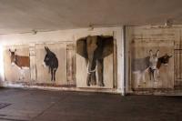 Timba Anes élephant-elephant-âne-ane Thierry Bisch artiste peintre contemporain animaux tableau art  nature biodiversité conservation 