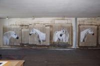 PSA arabian-thoroughbred-horse Thierry Bisch Contemporary painter animals painting art  nature biodiversity conservation