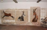 Chamois BOUQUETIN-CHAMOIS Thierry Bisch artiste peintre contemporain animaux tableau art  nature biodiversité conservation 