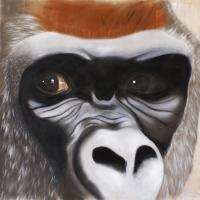 SILVERBACK singe Thierry Bisch artiste peintre animaux tableau art  nature biodiversité conservation 