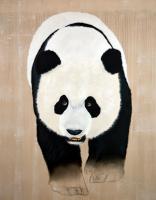 AILUROPODA MELANOLEUCA panda-geant-ailuropoda-melanoleuca-extinction-protégé-disparition Thierry Bisch artiste peintre animaux tableau art  nature biodiversité conservation 
