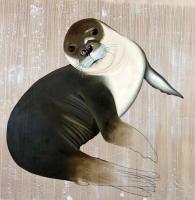 MONACHUS MONACHUS phoque-moine-méditerranée-menacé-extinction-protégé-monachus Thierry Bisch artiste peintre animaux tableau art  nature biodiversité conservation 