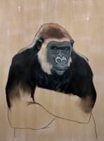 GORILLA-Gorilla gorilla-gorille Thierry Bisch artiste peintre animaux tableau art  nature biodiversité conservation 