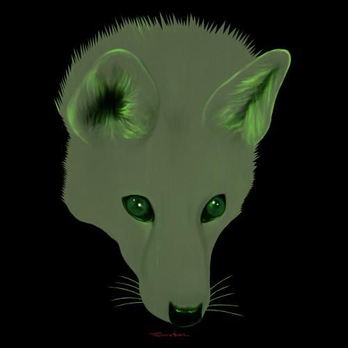 GREEN LIGHT FOX fox Showroom - Inkjet on plexi, limited editions, numbered and signed. Wildlife painting Art and decoration. Click to select an image, organise your own set, order from the painter on line