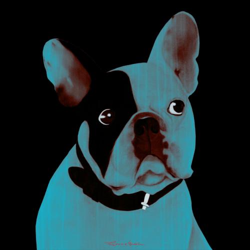 MR CUTE NUIT french bulldog dog Showroom - Inkjet on plexi, limited editions, numbered and signed. Wildlife painting Art and decoration. Click to select an image, organise your own set, order from the painter on line