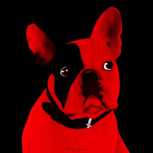MR CUTE ROUGE french bulldog dog Showroom - Inkjet on plexi, limited editions, numbered and signed. Wildlife painting Art and decoration. Click to select an image, organise your own set, order from the painter on line