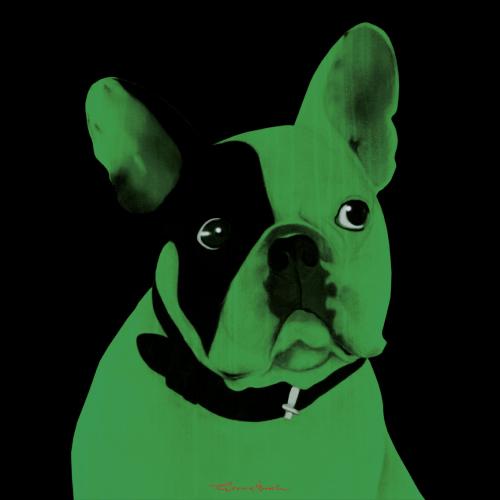 MR CUTE VERT AMANDE french bulldog dog Showroom - Inkjet on plexi, limited editions, numbered and signed. Wildlife painting Art and decoration. Click to select an image, organise your own set, order from the painter on line