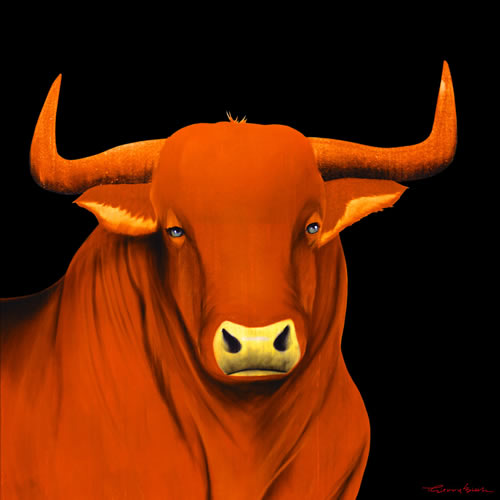 BULL 1 ORANGE bull Showroom - Inkjet on plexi, limited editions, numbered and signed. Wildlife painting Art and decoration. Click to select an image, organise your own set, order from the painter on line