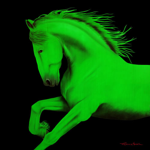 CHEVAL1 VERT  Horse Showroom - Inkjet on plexi, limited editions, numbered and signed. Wildlife painting Art and decoration. Click to select an image, organise your own set, order from the painter on line