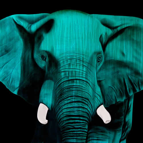 ELEPHANT BRONZE Elephant Showroom - Inkjet on plexi, limited editions, numbered and signed. Wildlife painting Art and decoration. Click to select an image, organise your own set, order from the painter on line