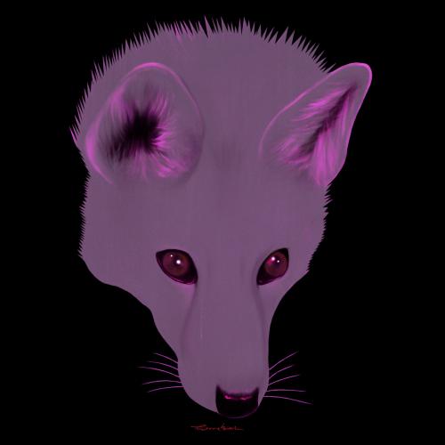 PINK LIGHT FOX fox Showroom - Inkjet on plexi, limited editions, numbered and signed. Wildlife painting Art and decoration. Click to select an image, organise your own set, order from the painter on line