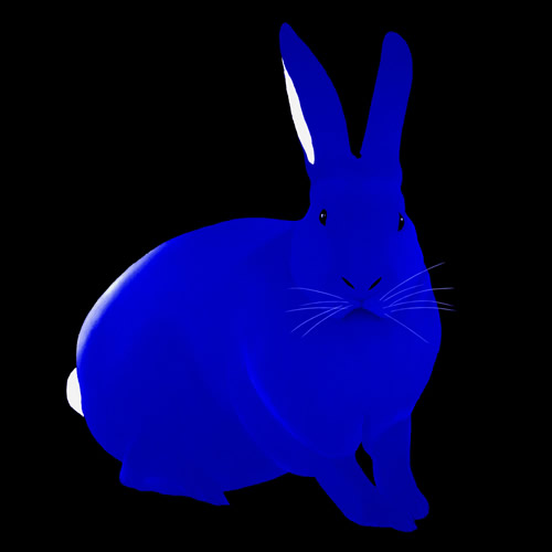 LAPIN Electric blue rabbit Showroom - Inkjet on plexi, limited editions, numbered and signed. Wildlife painting Art and decoration. Click to select an image, organise your own set, order from the painter on line