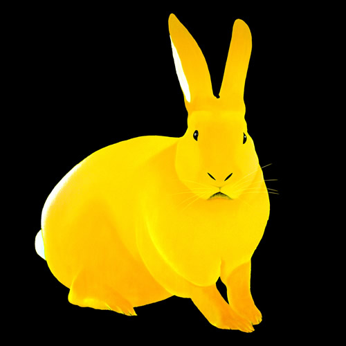 LAPIN Jaune  rabbit Showroom - Inkjet on plexi, limited editions, numbered and signed. Wildlife painting Art and decoration. Click to select an image, organise your own set, order from the painter on line