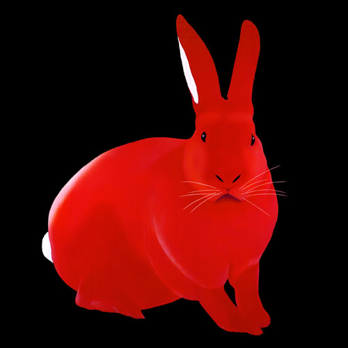 LAPIN Rouge 1 rabbit Showroom - Inkjet on plexi, limited editions, numbered and signed. Wildlife painting Art and decoration. Click to select an image, organise your own set, order from the painter on line