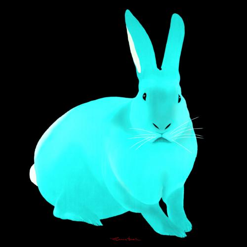 LAPIN TURQUOISE rabbit Showroom - Inkjet on plexi, limited editions, numbered and signed. Wildlife painting Art and decoration. Click to select an image, organise your own set, order from the painter on line