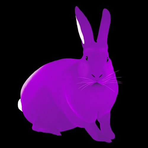 LAPIN Violet rabbit Showroom - Inkjet on plexi, limited editions, numbered and signed. Wildlife painting Art and decoration. Click to select an image, organise your own set, order from the painter on line