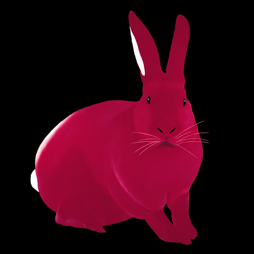 Lapin Framboise rabbit Showroom - Inkjet on plexi, limited editions, numbered and signed. Wildlife painting Art and decoration. Click to select an image, organise your own set, order from the painter on line