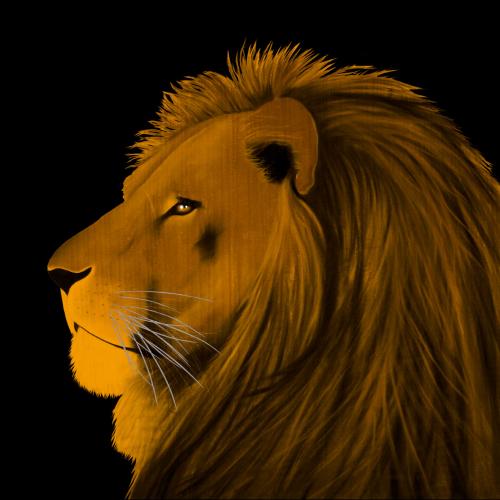 LION GOLD Lion Showroom - Inkjet on plexi, limited editions, numbered and signed. Wildlife painting Art and decoration. Click to select an image, organise your own set, order from the painter on line
