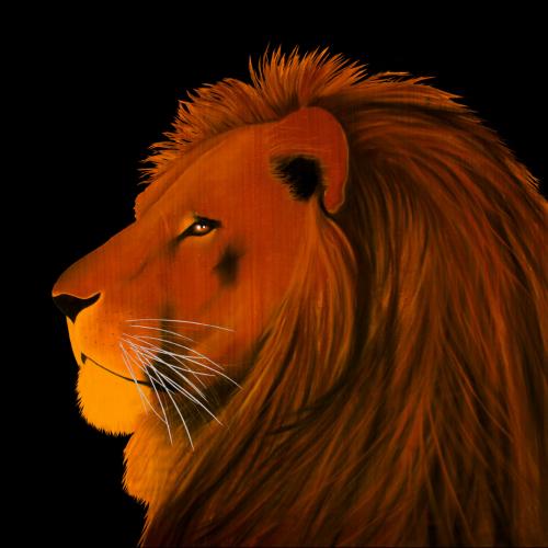 LION ORANGE Lion Showroom - Inkjet on plexi, limited editions, numbered and signed. Wildlife painting Art and decoration. Click to select an image, organise your own set, order from the painter on line