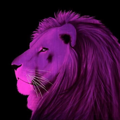LION ROSE Lion Showroom - Inkjet on plexi, limited editions, numbered and signed. Wildlife painting Art and decoration. Click to select an image, organise your own set, order from the painter on line