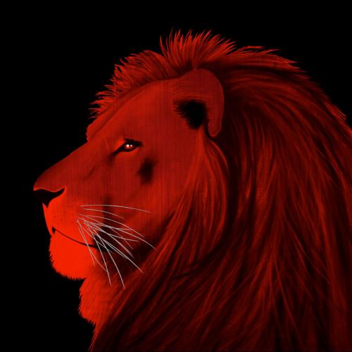 LION ROUGE Lion Showroom - Inkjet on plexi, limited editions, numbered and signed. Wildlife painting Art and decoration. Click to select an image, organise your own set, order from the painter on line