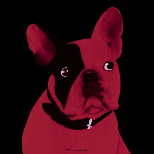 MR CUTE FRAMBOISE french bulldog dog Showroom - Inkjet on plexi, limited editions, numbered and signed. Wildlife painting Art and decoration. Click to select an image, organise your own set, order from the painter on line