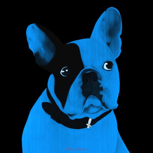 MR CUTE LAYETTE french bulldog dog Showroom - Inkjet on plexi, limited editions, numbered and signed. Wildlife painting Art and decoration. Click to select an image, organise your own set, order from the painter on line