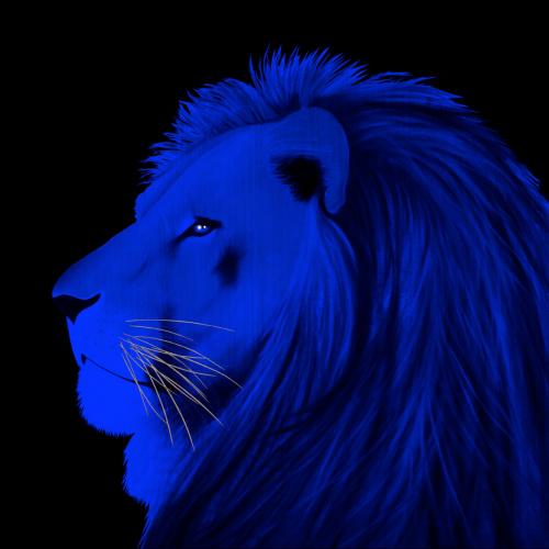 LION ELECTRIC BLUE Lion Showroom - Inkjet sur plexi, éditions limitées, numérotées et signées .Peinture animalière Art et décoration.Images multiples, commandez au peintre Thierry Bisch online