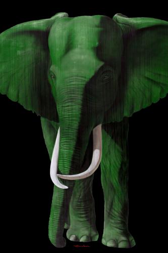 TIMBA CHLOROPHYLLE élephant elephant Showroom - Inkjet sur plexi, éditions limitées, numérotées et signées .Peinture animalière Art et décoration.Images multiples, commandez au peintre Thierry Bisch online