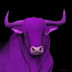 BULL-1-VIOLET BULL 1 VERT bull Showroom - Inkjet on plexi, limited editions, numbered and signed. Wildlife painting Art and decoration. Click to select an image, organise your own set, order from the painter on line